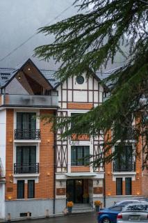 1 Hotel Borjomi - Borjomi - 0