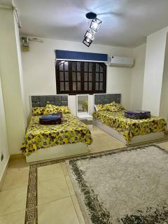 Alpha Studio - Il Cairo - 3