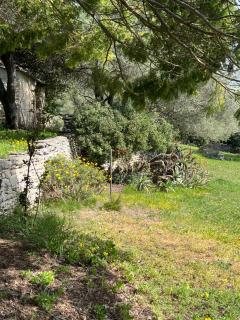 2 mini villas indépendantes campagne saint flo - Saint-Florent - 9