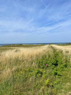 Elegant Summer House Close To The Beach And Forest - Kalundborg - 6