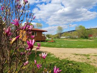 Domek nad Olszanka - Olszanica - 1