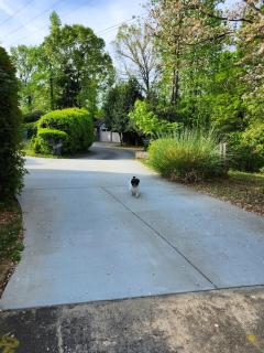 Lakeside furnished apartment, utilities included - 3