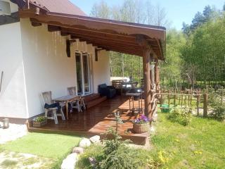 Magiczny las - Skorka - 4