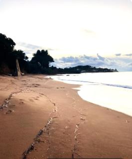 F2 tout confort, les pieds dans l'eau, PORTICCIO - Grosseto-Prugna - 1