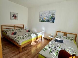 Apartmán Kopretina - 5