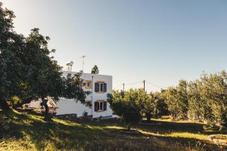 Villa Melivia - Hersonissos - 7