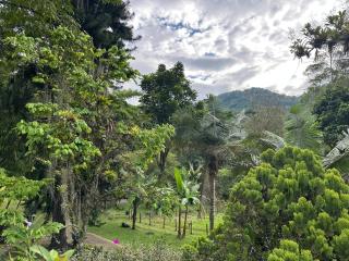 Río Pance Finca Hotel Camino Verde - Cali - 7