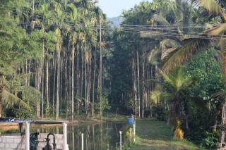 Lake view nest chikkamagluru - Aldūr - 2
