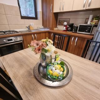Apartament Kalinderu K4 Busteni - Buşteni - 7