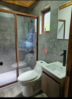 LT Lodge - Las Trancas - 4