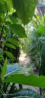 Villas Light House - Eco-Traditional Joglo - Gili Trawangan - 2