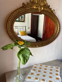 Casa Verde de Guía - Santa Maria de Guia - 8