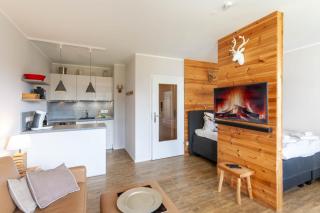 Ferienwohnung BergChalet 1 mit Balkon - Braunlage - 0