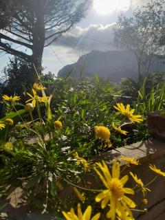 Villetta Rosetta - Capri - 2