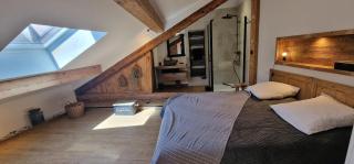 Le cosy du Théâtre, duplex confortable au centre de Chambéry - Chambéry - 0