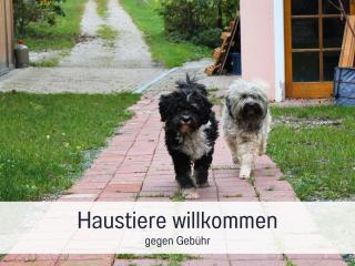 SEEZEIT Ferienwohnungen Familiennest - Dießen am Ammersee - 6