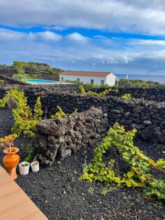 Insula Vinus Apartments - Madalena - 9