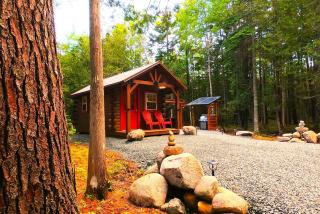 Acadia forest cabin - Gouldsboro - 0