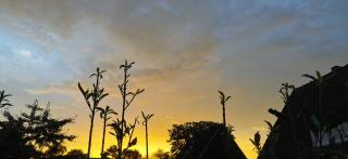 Sehr schöne, große und zentral gelegene Wohnung - 7