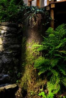 Hotel Promyk Wellness & Spa - Karpacz - 2