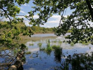 MA SOLOGNE,ZOO BEAUVAL,CHATEAUX DE LA LOIRE,GOLF - 2