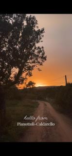 Camping individuel dans la maquis Corse - Pianottoli-Caldarello - 8