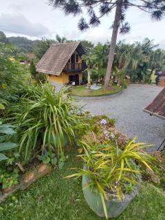 Chalé da Araucária - Rio dos Cedros - 0