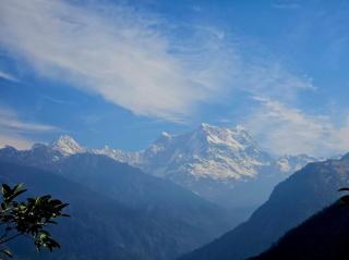 Chaukhamba Cradle - 4