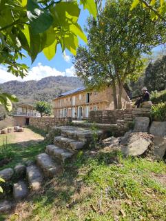 Chaukhamba Cradle - 2