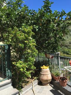 Apartment with balcony and seaview - Monterosso al Mare - 8