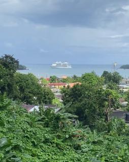 Viva Violas - Port Antonio - 2