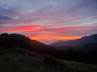 Hébergement cargese - Cargèse - 4