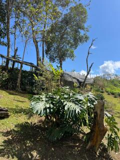 Finca La Victoria - Bitaco - 8