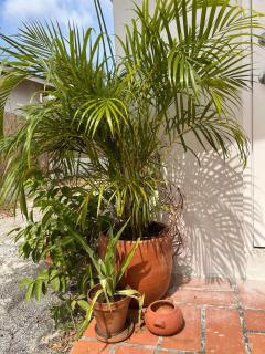 Boutique Villa Sol - Willemstad - 9