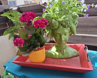 Villa Poppy - 7