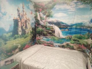 3 Bed House Sleeps 6 with Pet-Friendly Garden - 8