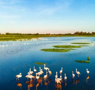 El Trovador Alquileres Temporarios Zona Norte - 8
