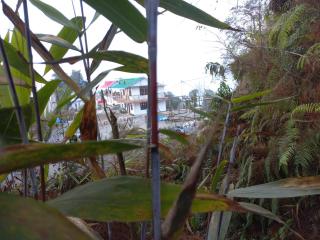 Rishop Karma Homestay - Kalimpong - 7