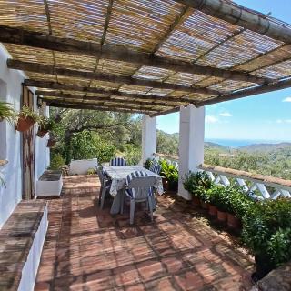 Cortijo típico andaluz en la sierra cerca de Frigiliana de Nerja y de las Playas - Frigiliana - 9