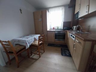 at Silva's place - Ptuj - 1
