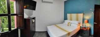 Nueve Agaves Hotel - Tequila - 8