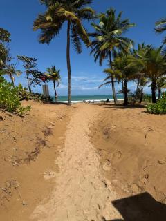 Caribbean Zen at Bosque Del Mar - Las Picuas - Rio Grande - Rio Grande - 7