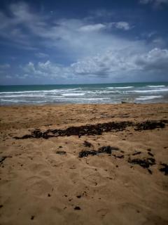 Caribbean Zen at Bosque Del Mar - Las Picuas - Rio Grande - Rio Grande - 1