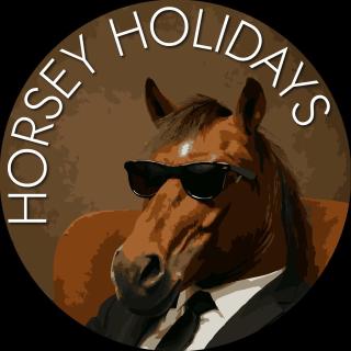 SkyBears Holidays -  - 9