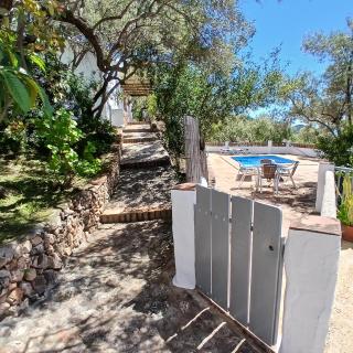 Cortijo típico andaluz en la sierra cerca de Frigiliana de Nerja y de las Playas - Frigiliana - 4