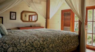 Caribbean Villa with pool and views - 6