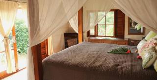 Caribbean Villa with pool and views - 3