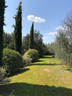 Villa Elena Tuscany - Pool & Garden Arezzo - IHH - 5