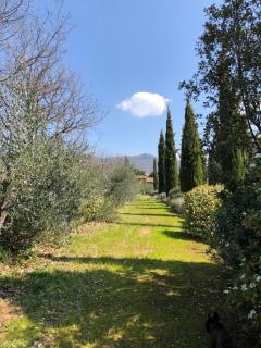 Villa Elena Tuscany - Pool & Garden Arezzo - IHH - 4