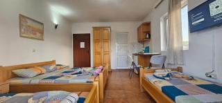 OliveGarten Apartments - Ulcinj - 3